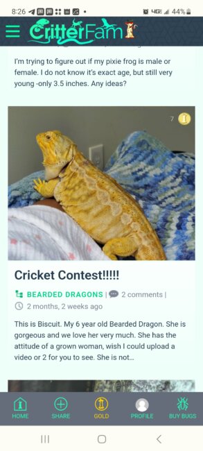 Cricket Contest!!!!! Everyone READ